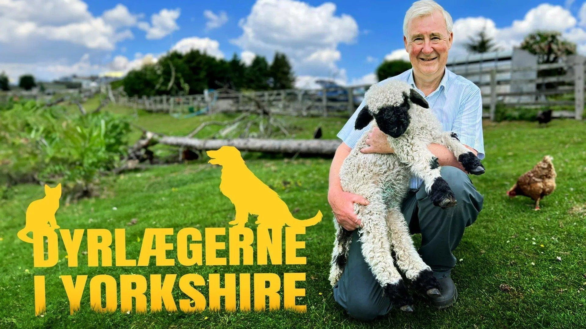 The Yorkshire Vet