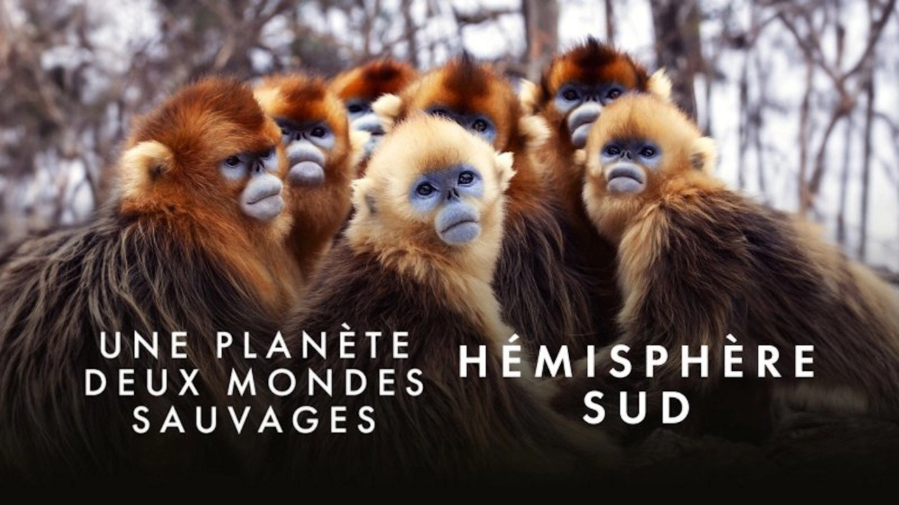 Une planète, deux mondes sauvages