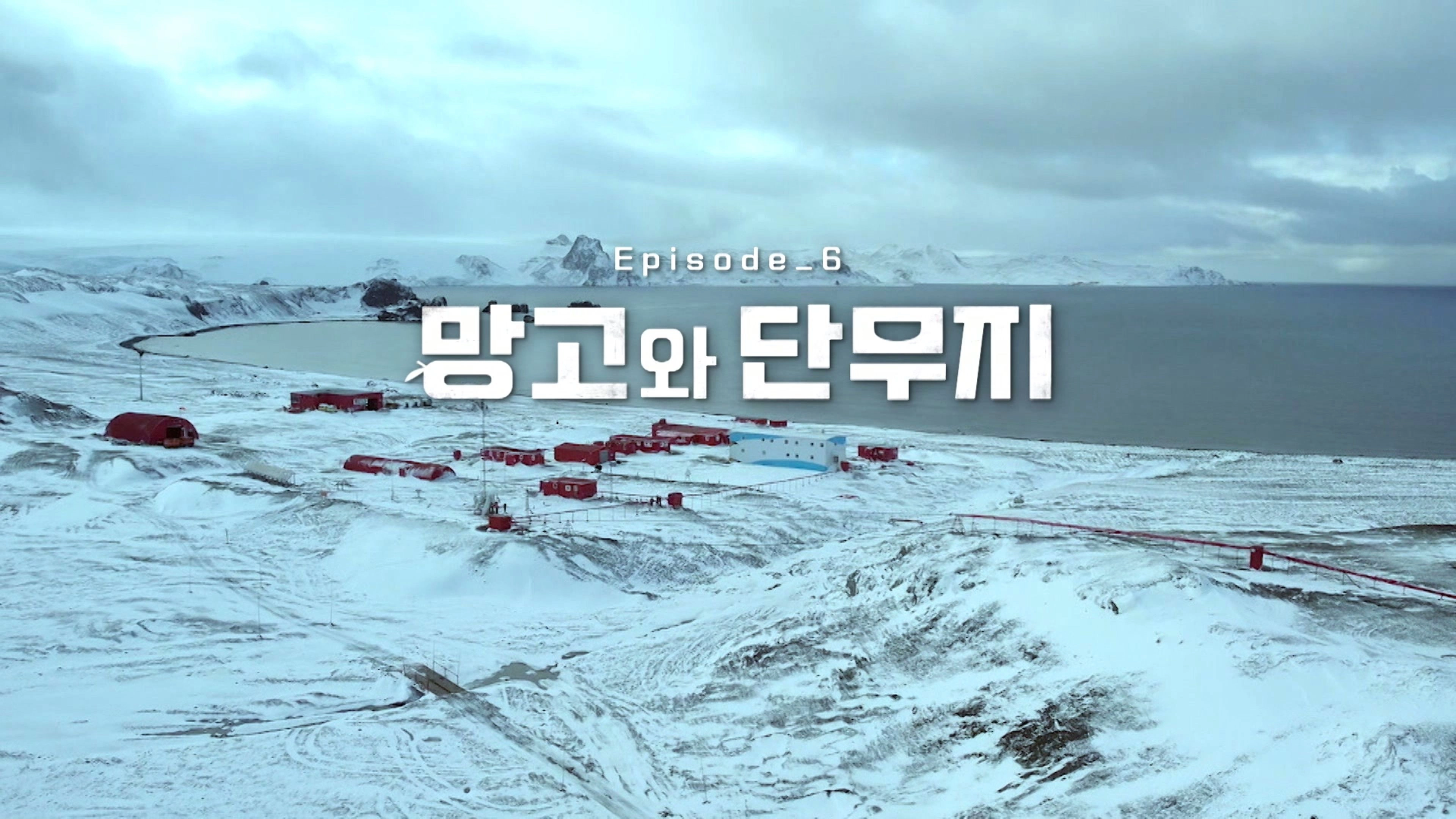 Chef of Antarctica