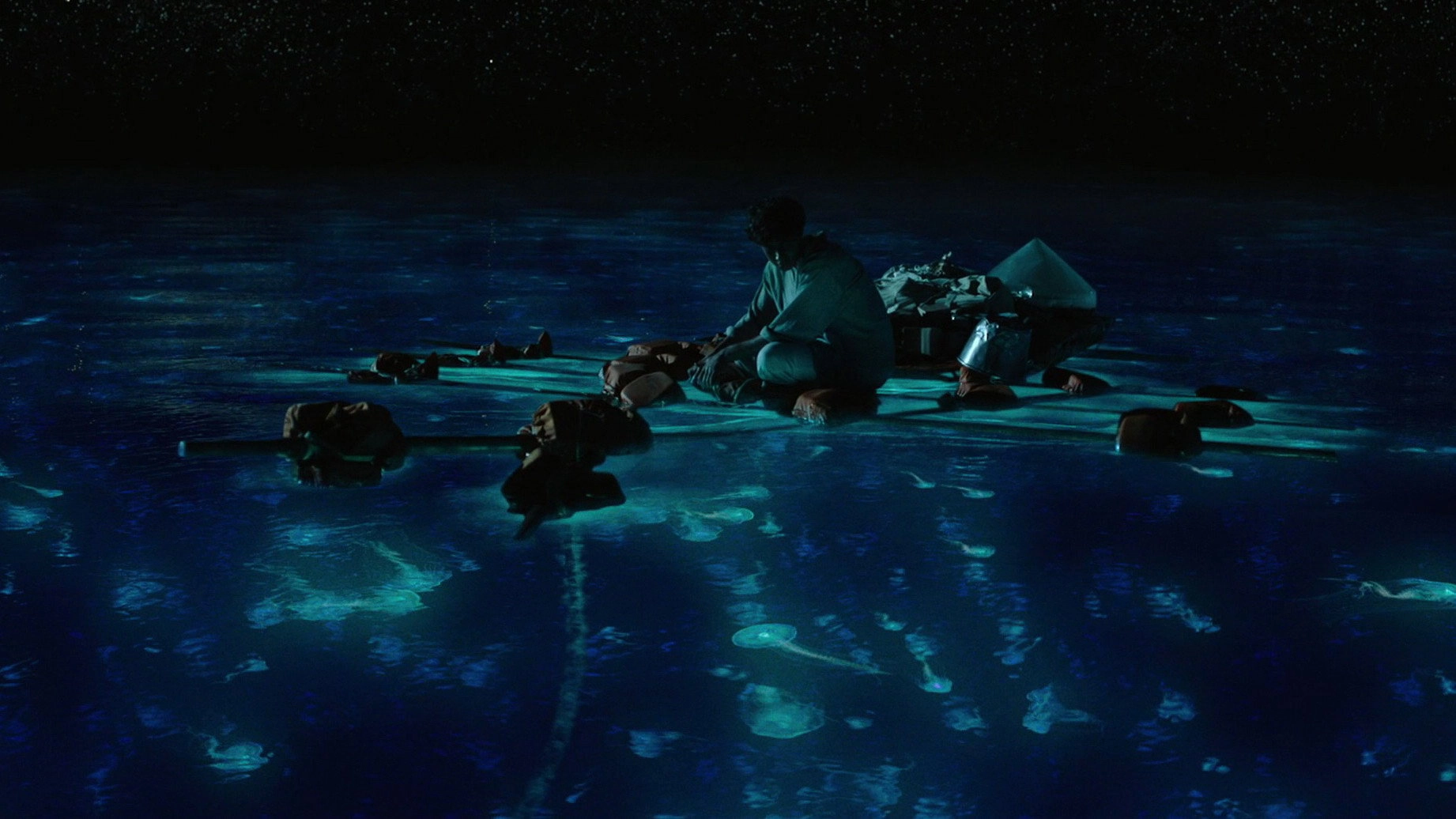 Life of Pi