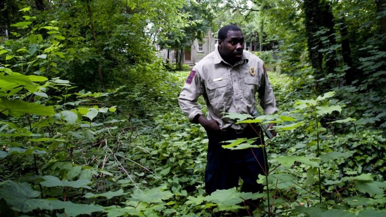 Animal Cops: Philadelphia