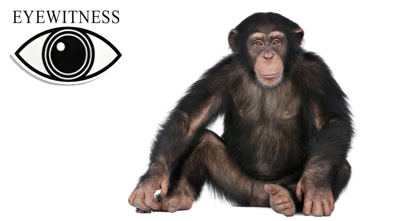 Eyewitness