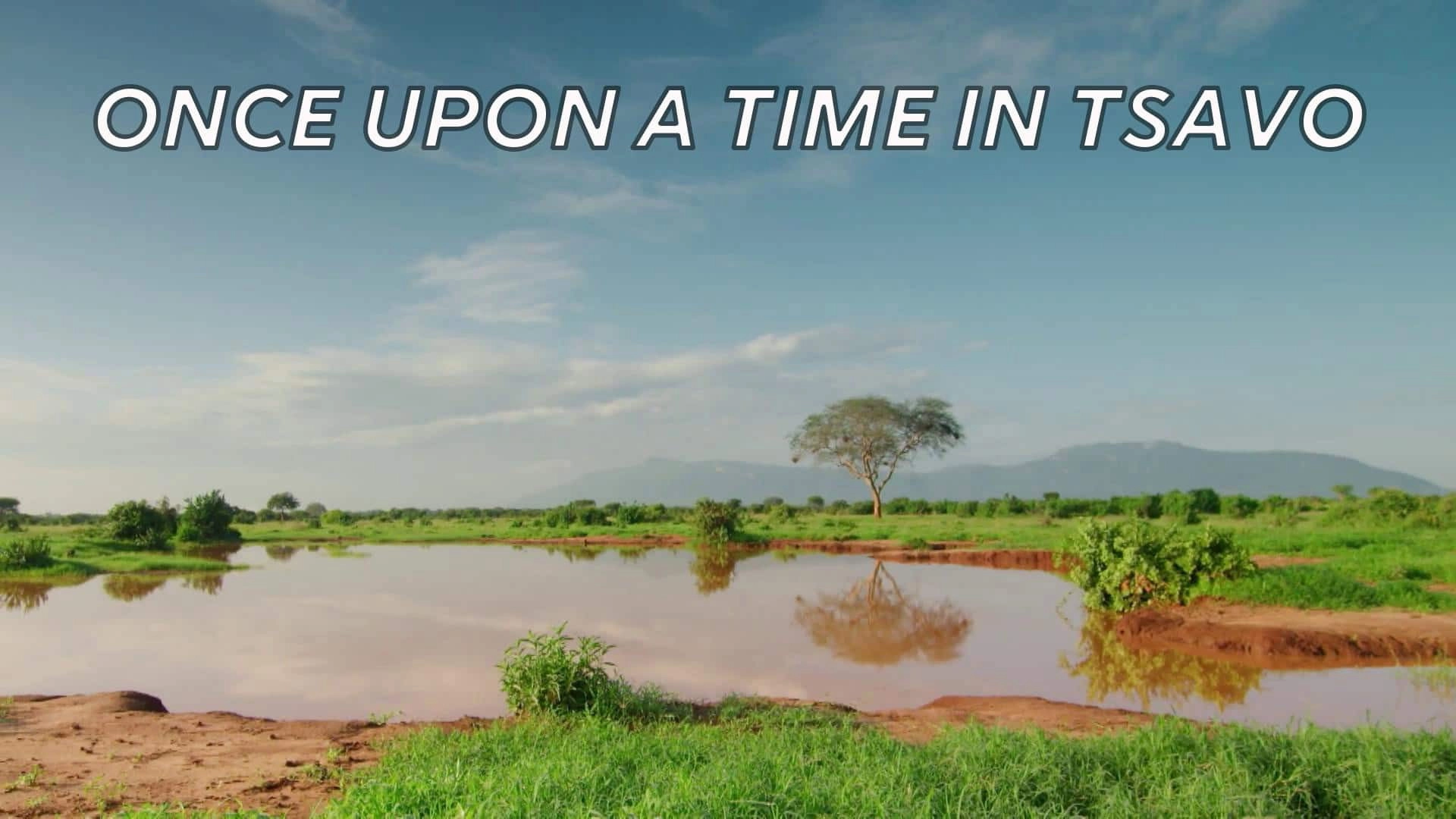 Once Upon a Time in Tsavo