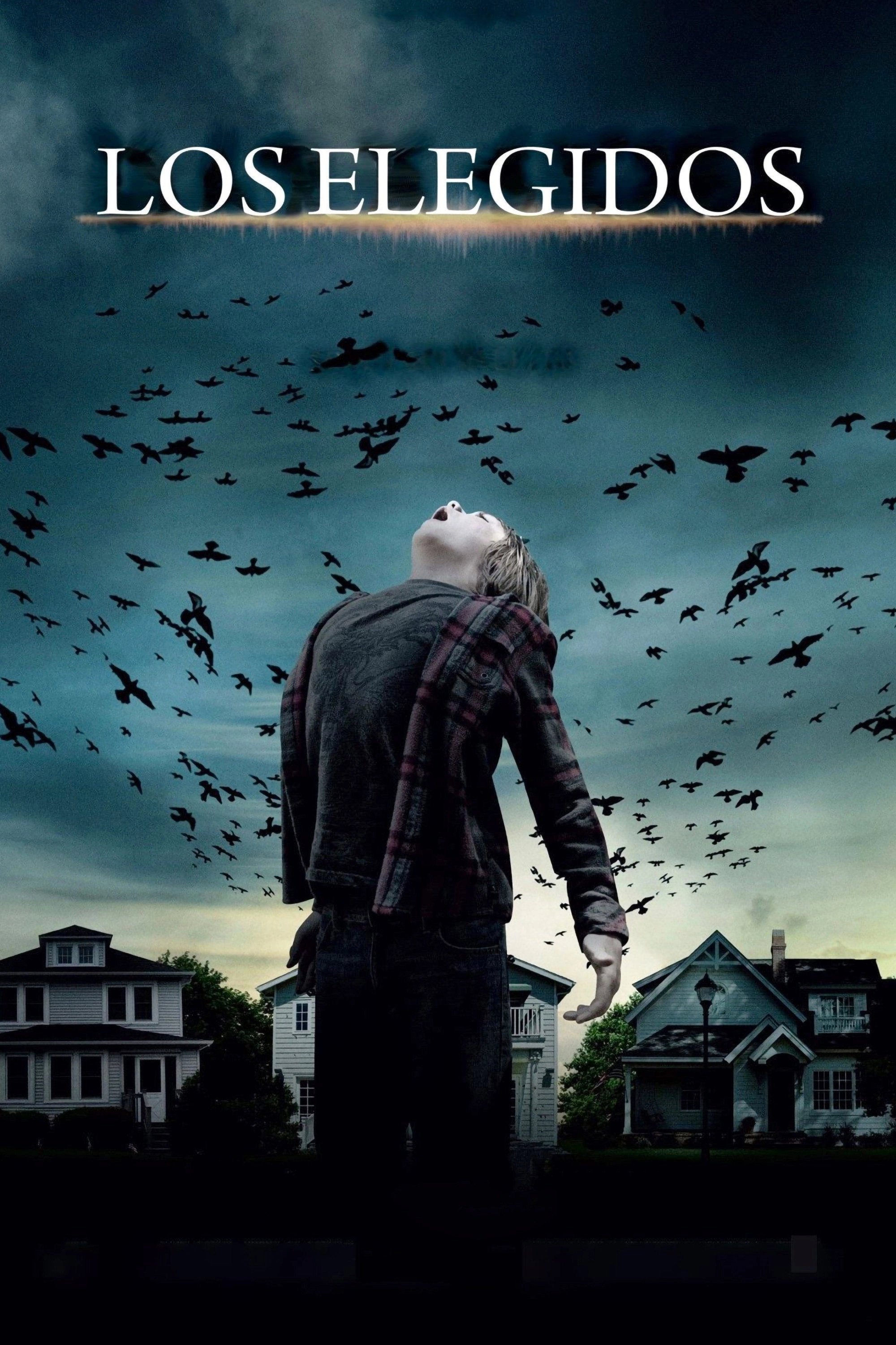 Dark Skies