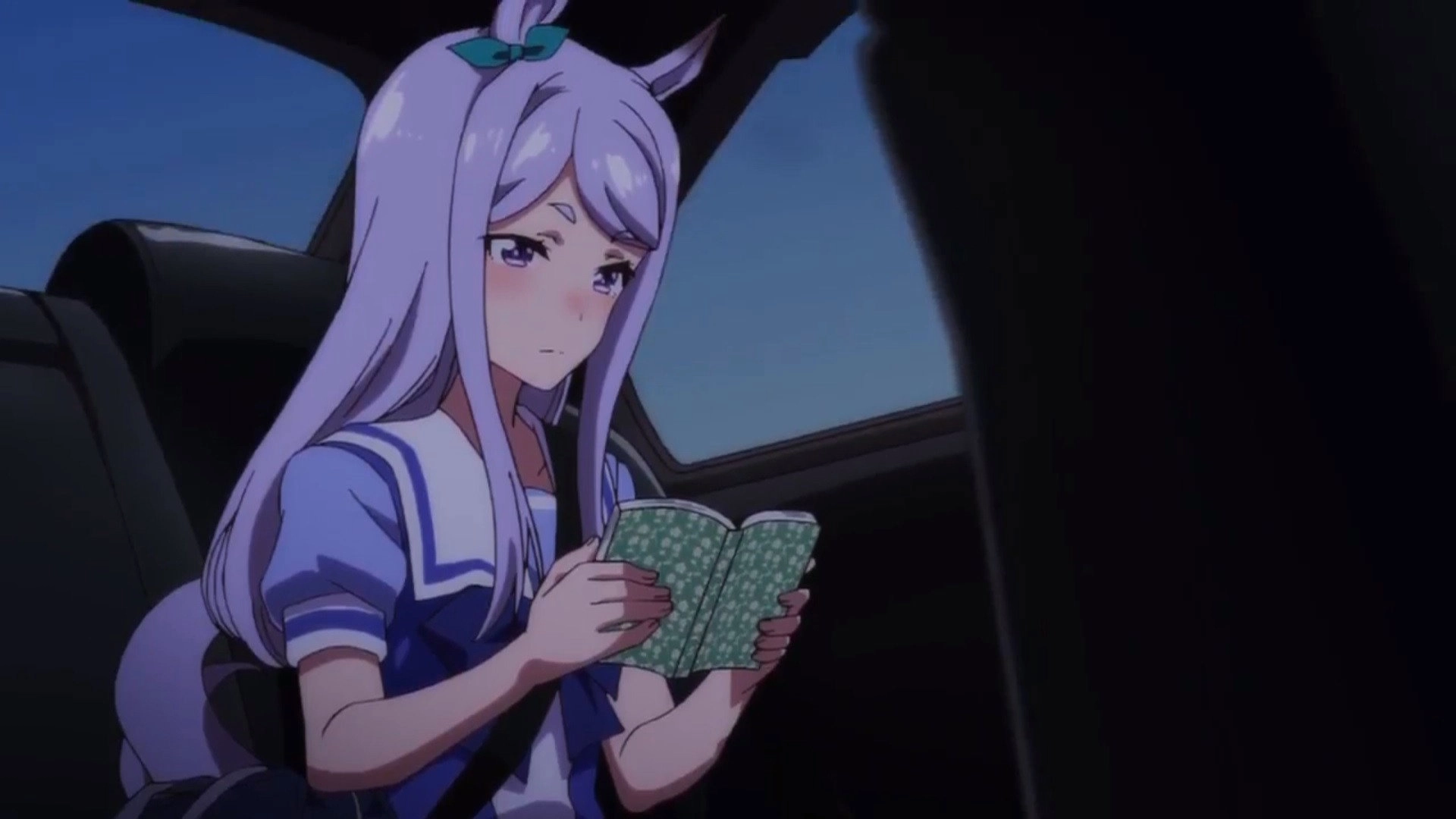 Umamusume: Pretty Derby