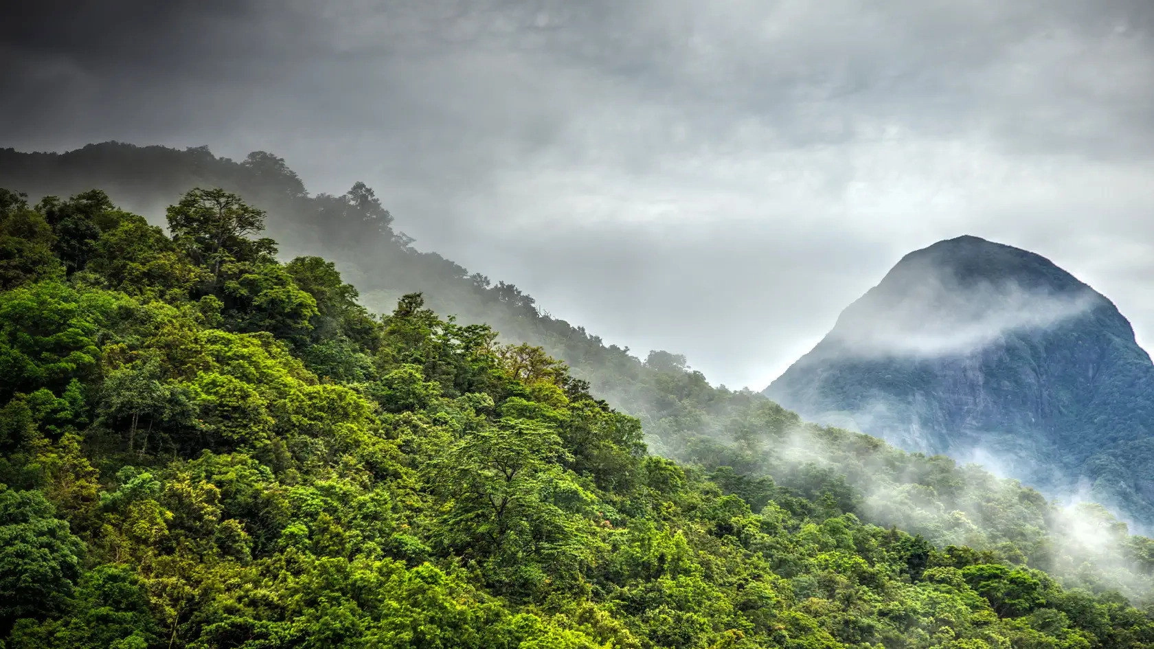 Wild Sri Lanka