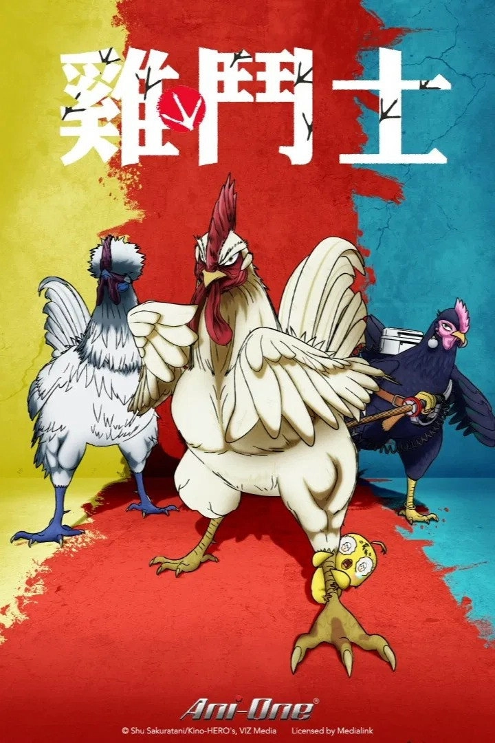 Rooster Fighter