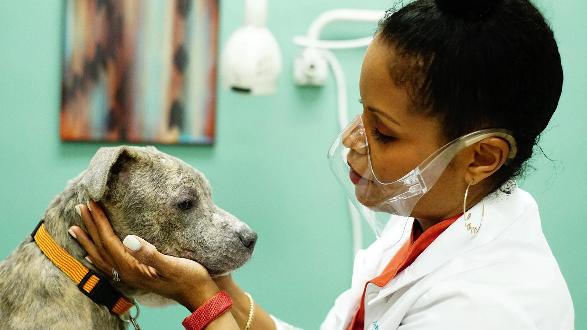 Pop Goes the Vet with Dr. Joya