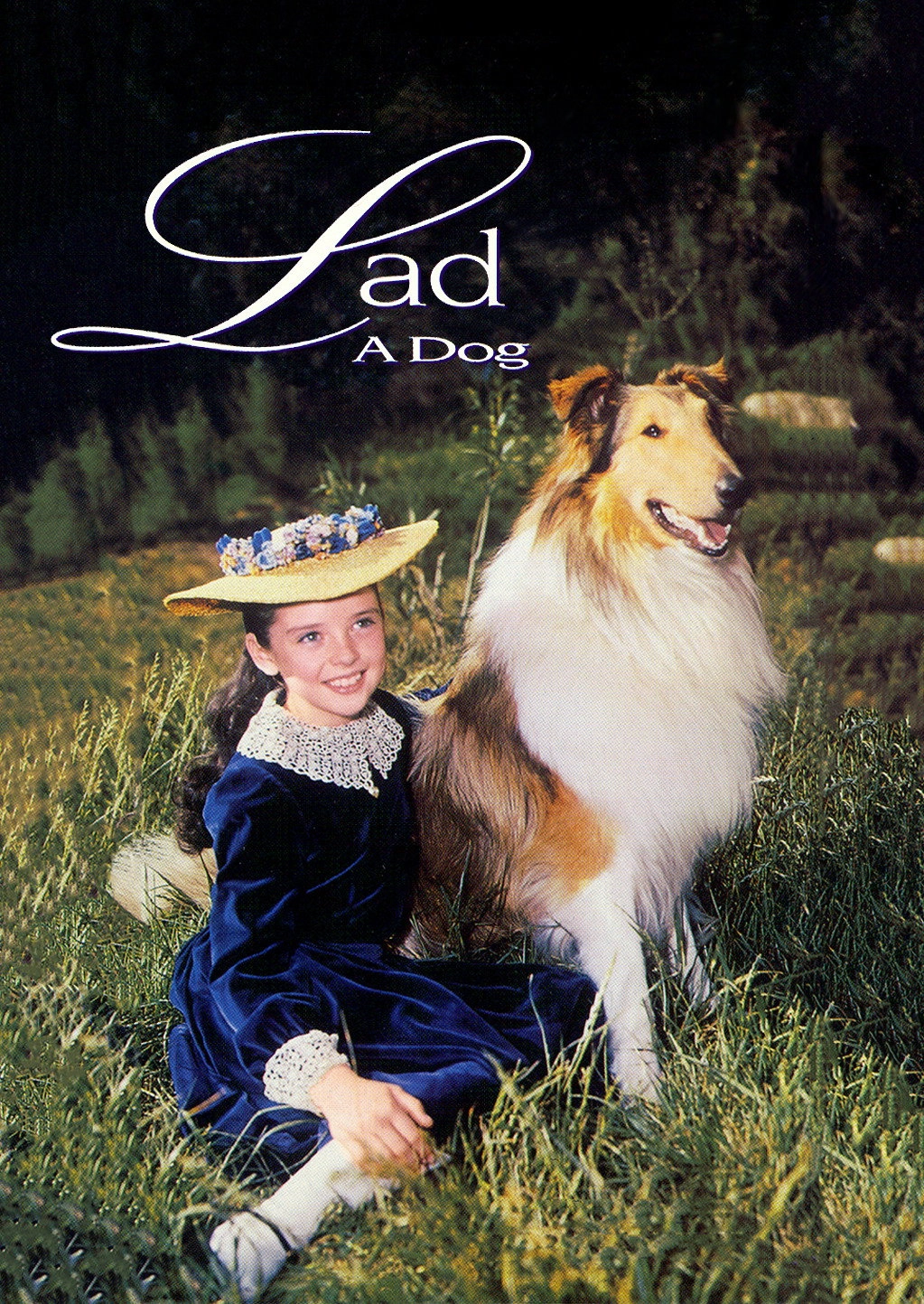 Lad: A Dog