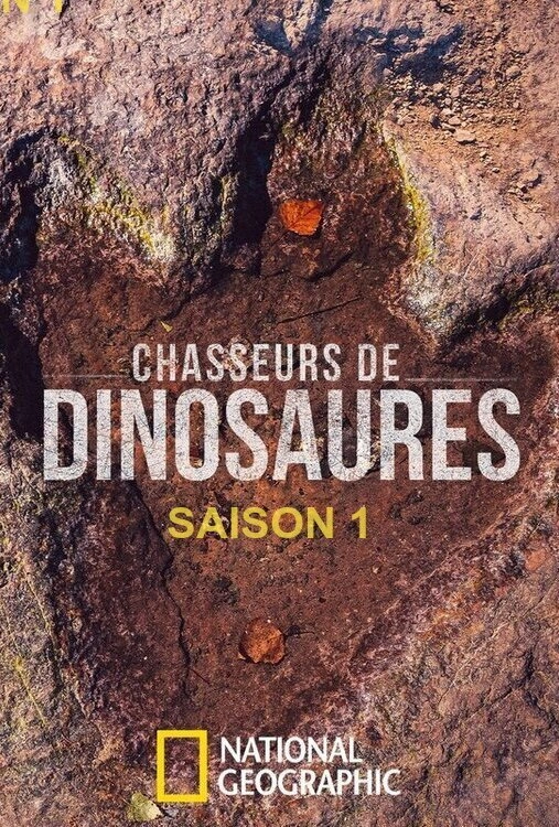 Hunting Dinosaurs