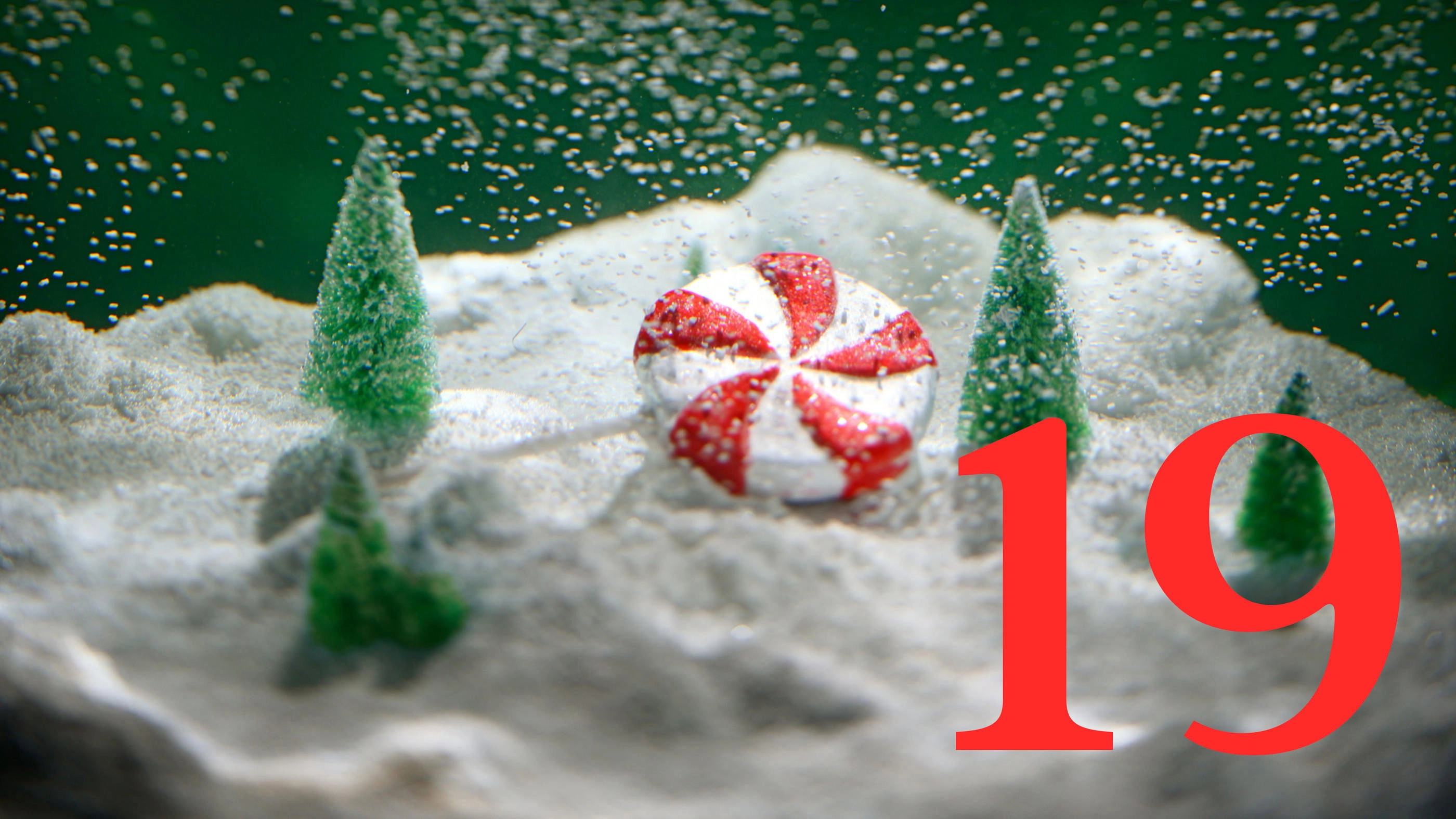 Last X-mas - 24 Tage für die Liebe