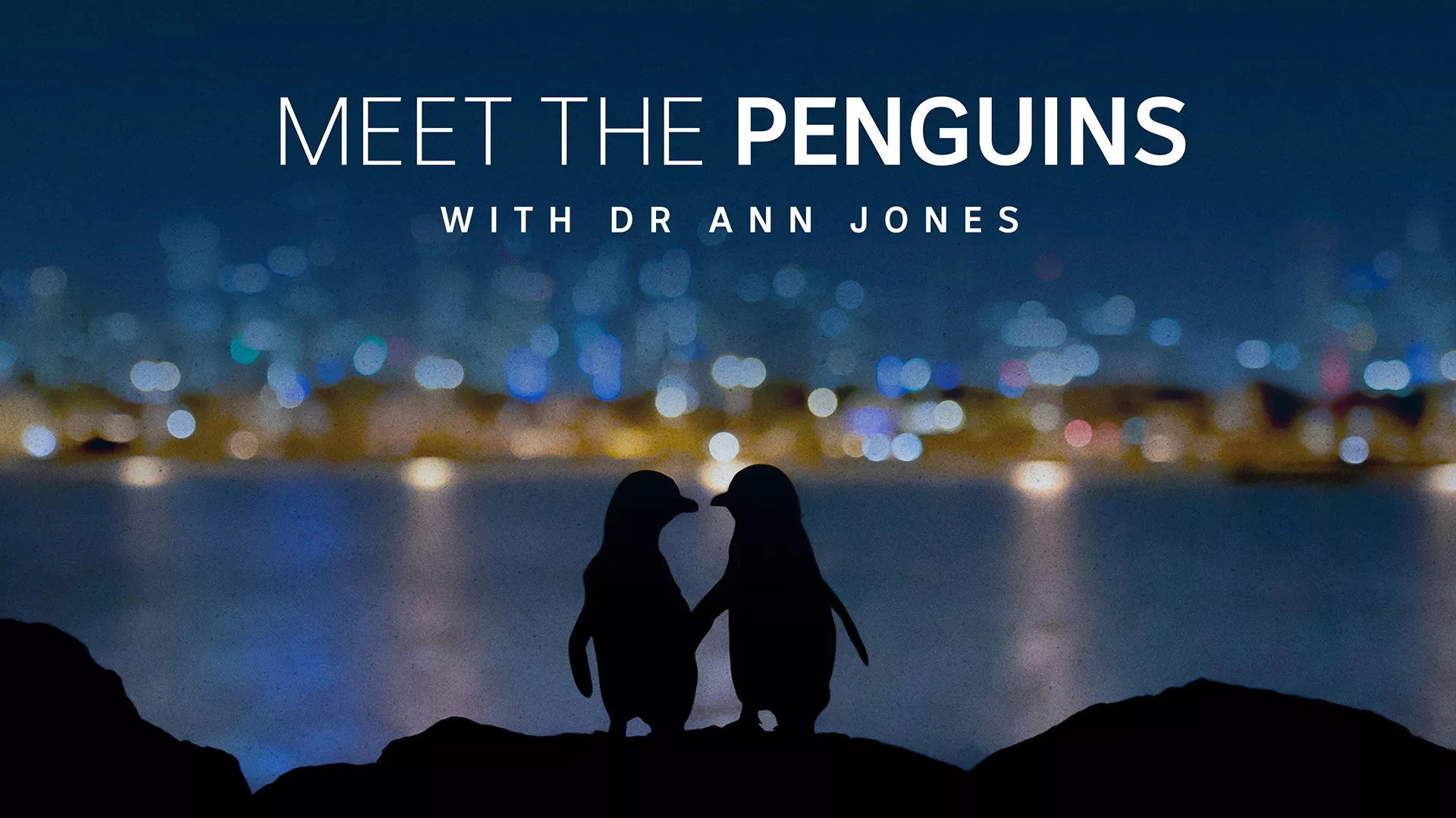 Meet the Penguins