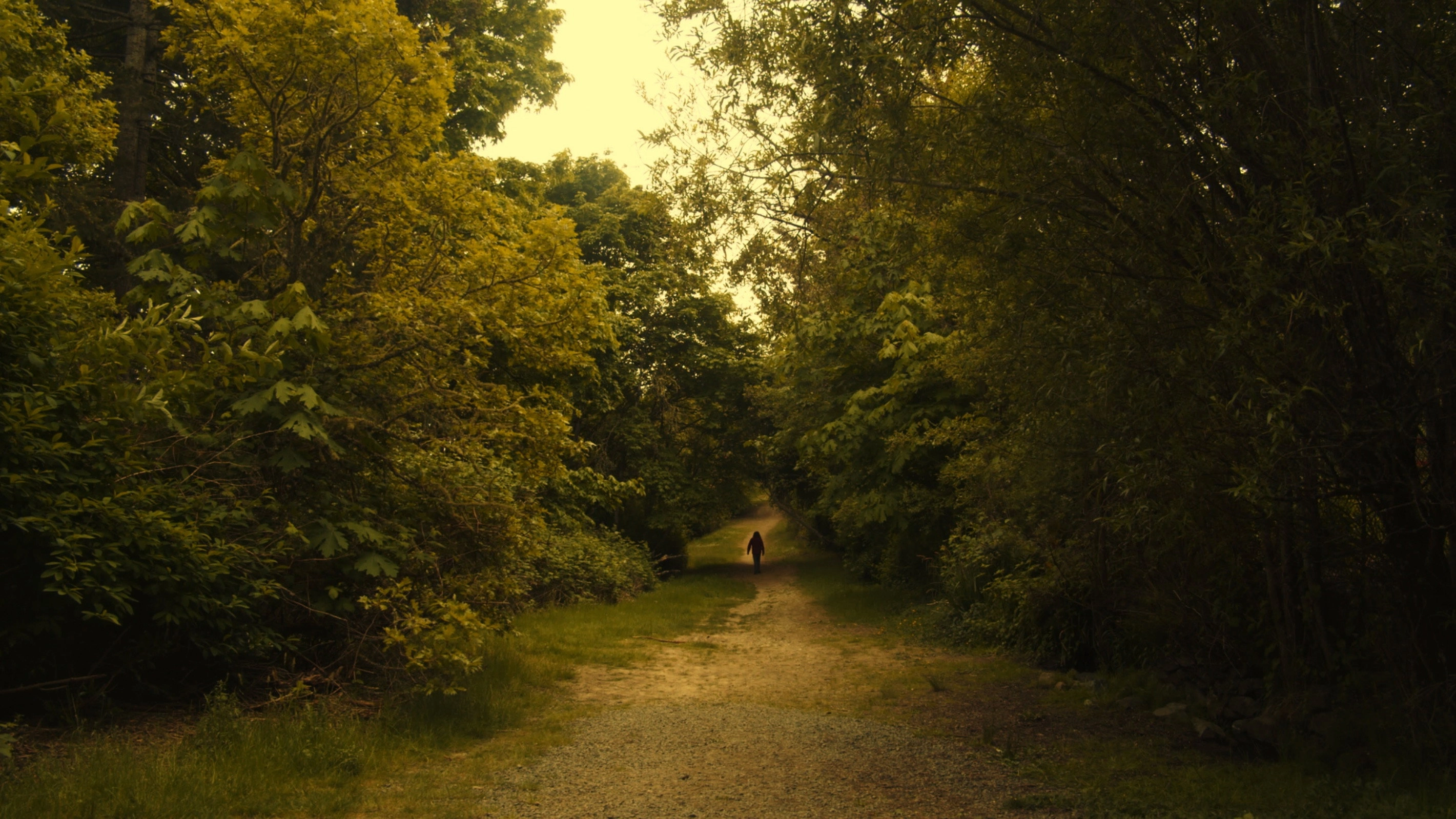 Sleepwalker