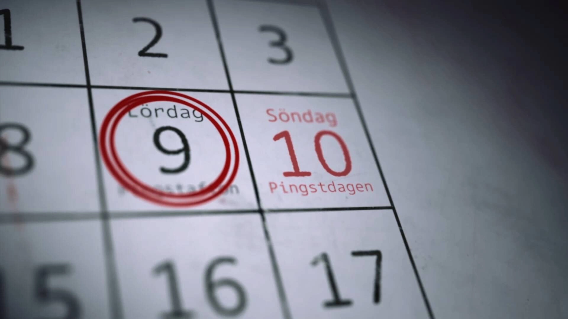 Dokument inifrån: Det svenska styckmordet
