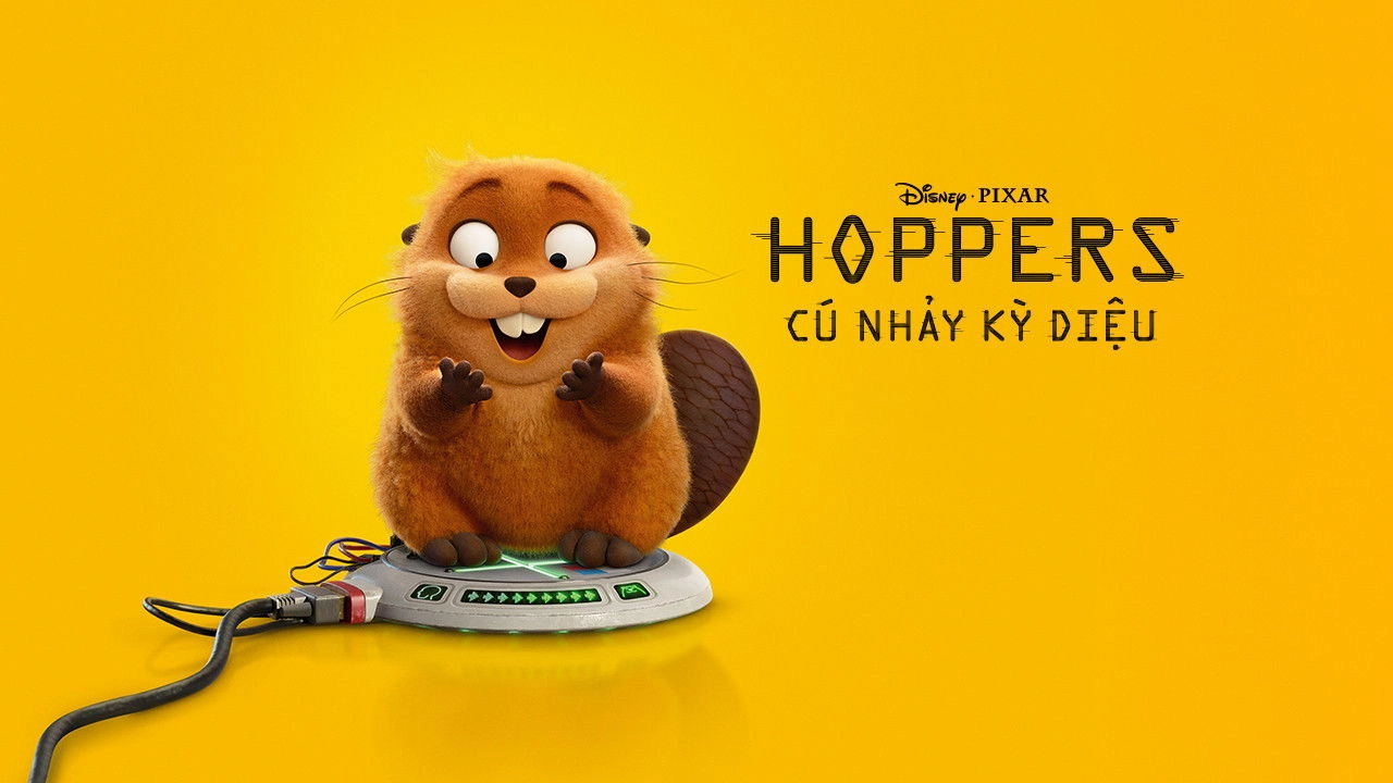 Hoppers