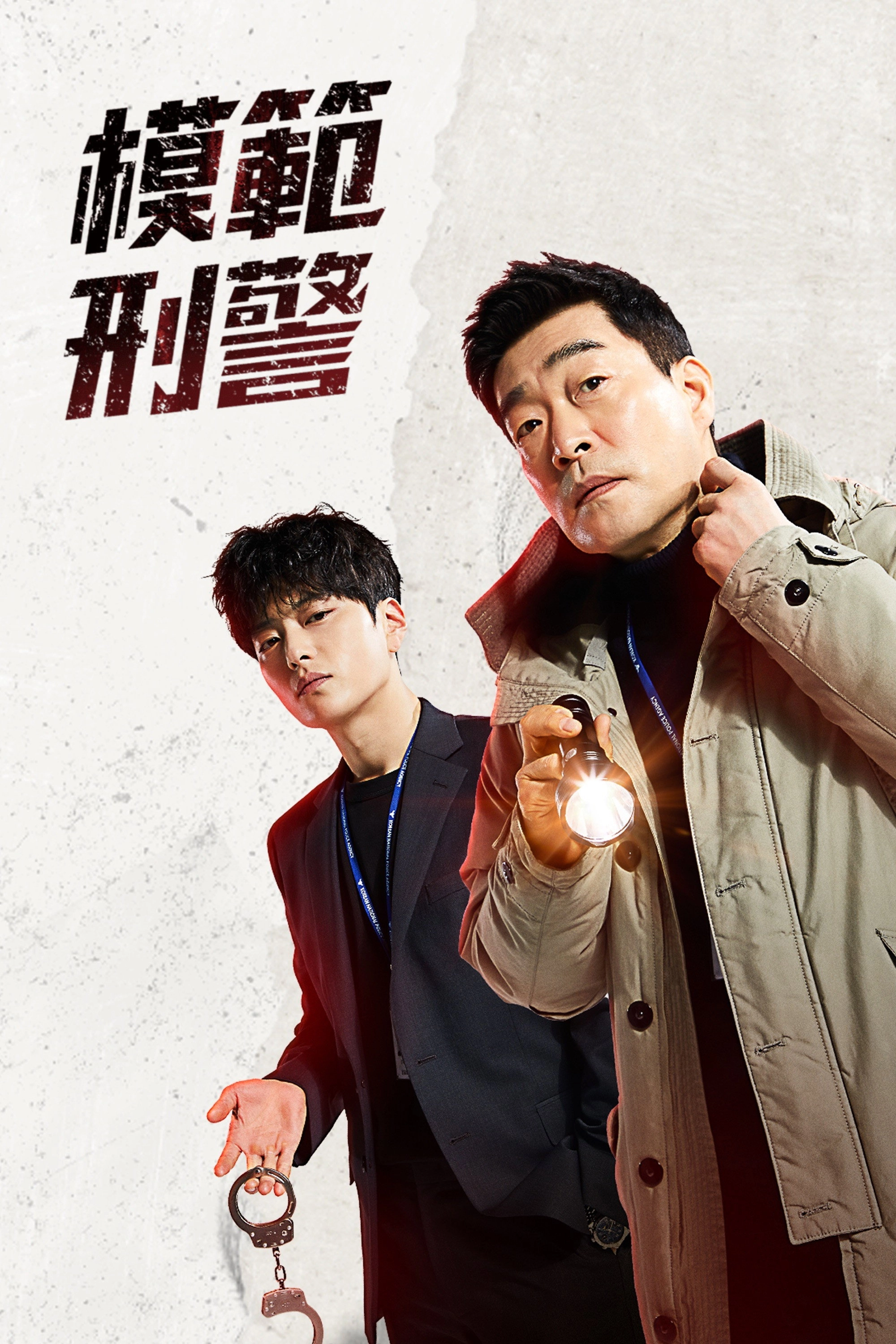 The Good Detective