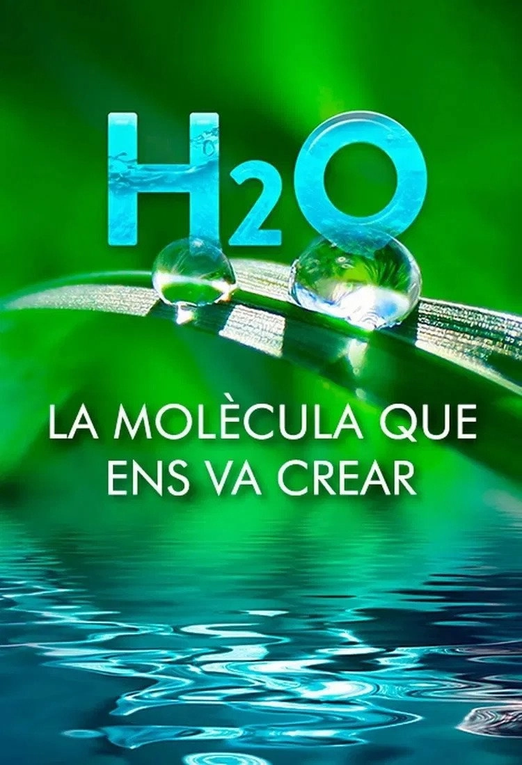 H2O: The Molecule that Made Us