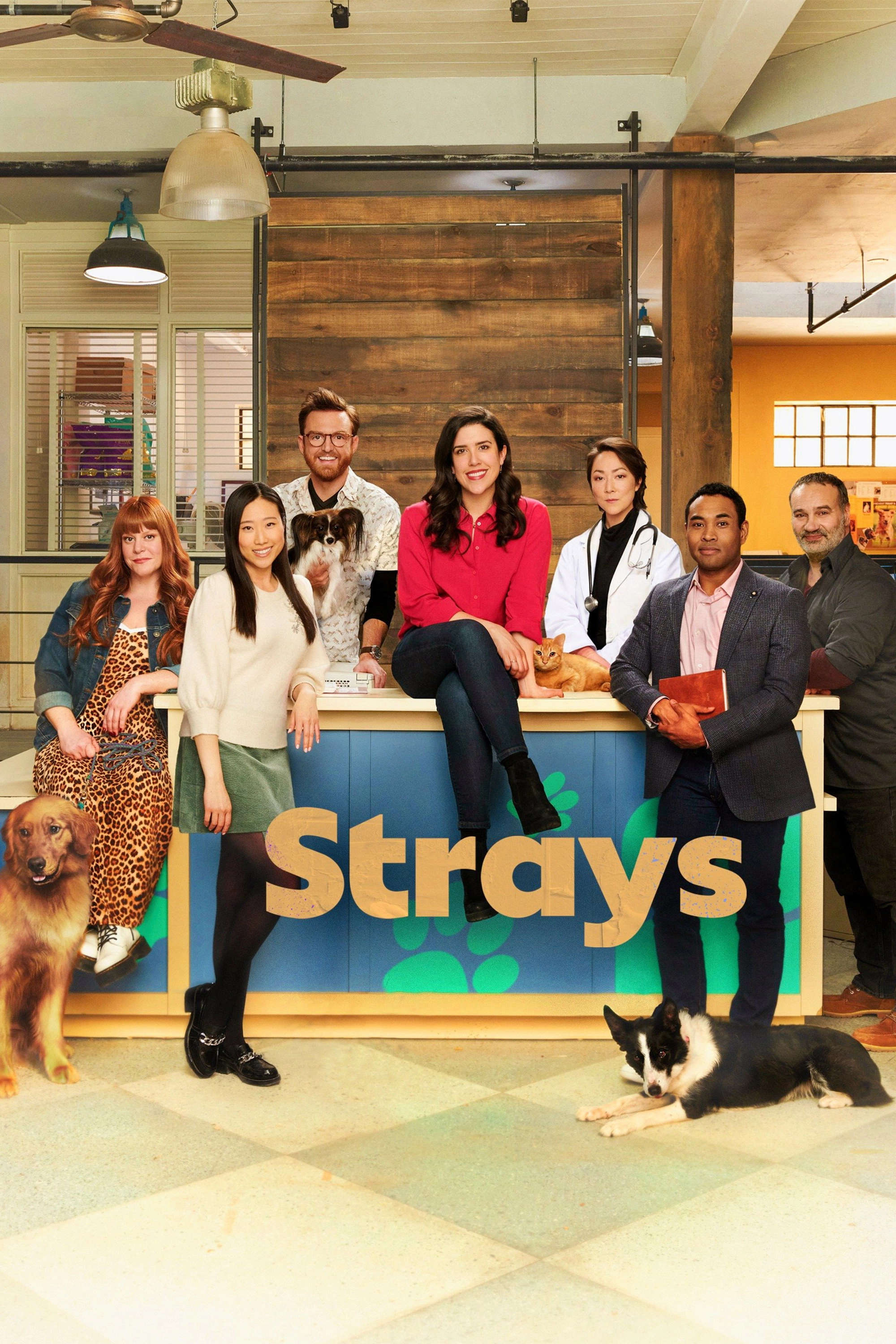 Strays