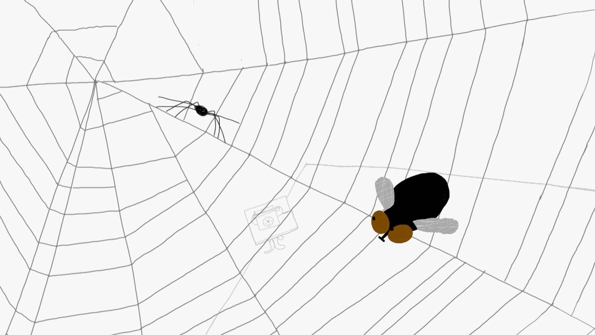 Spider Web