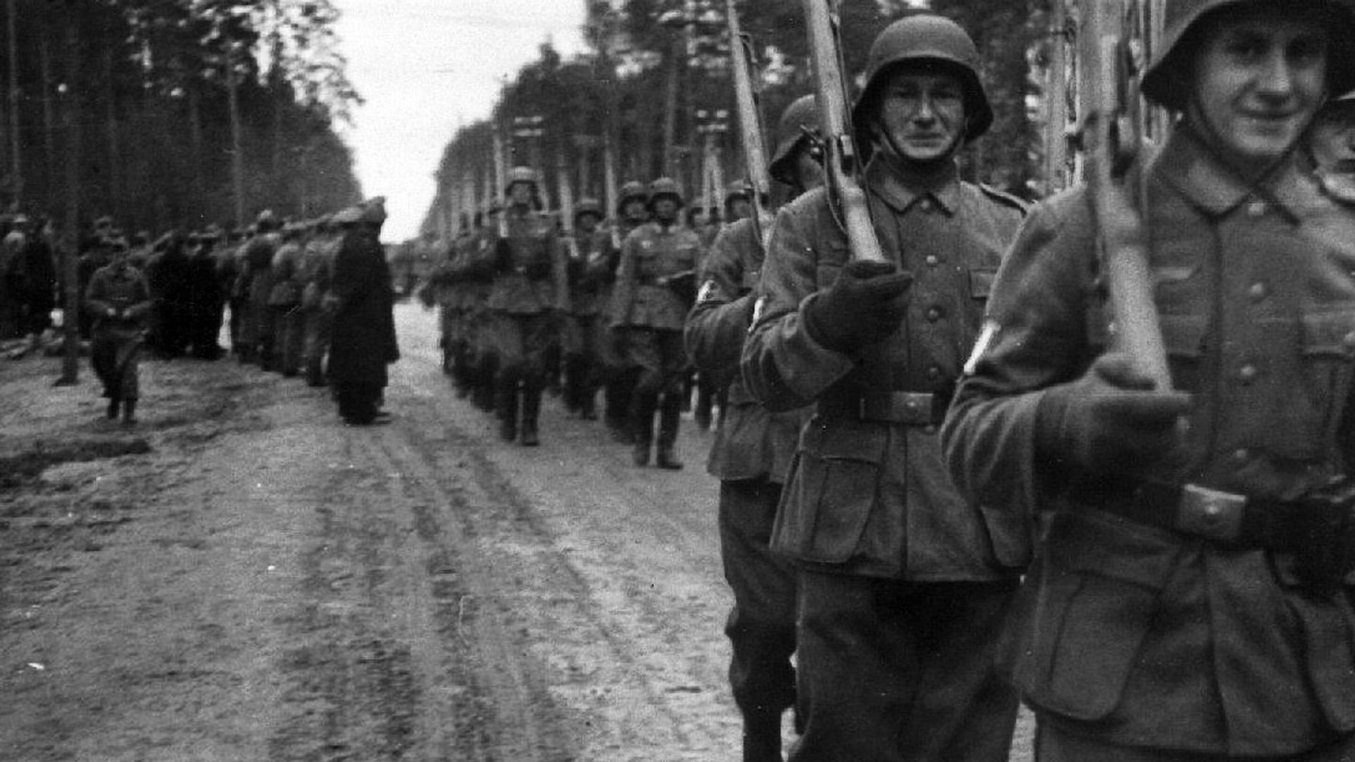 French Soldiers of the Third Reich