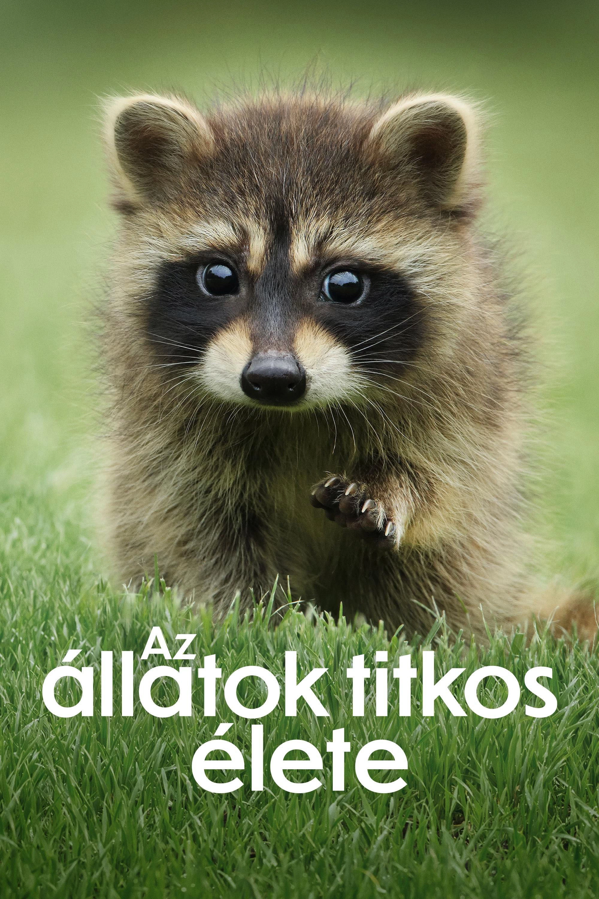 The Secret Lives of Animals
