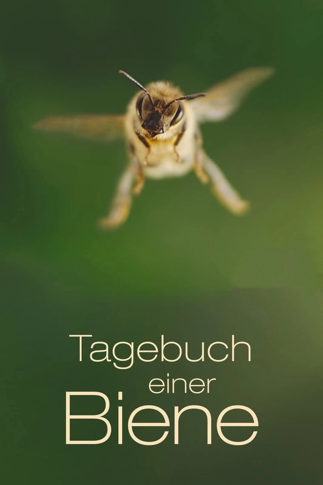 Diary of a Bee