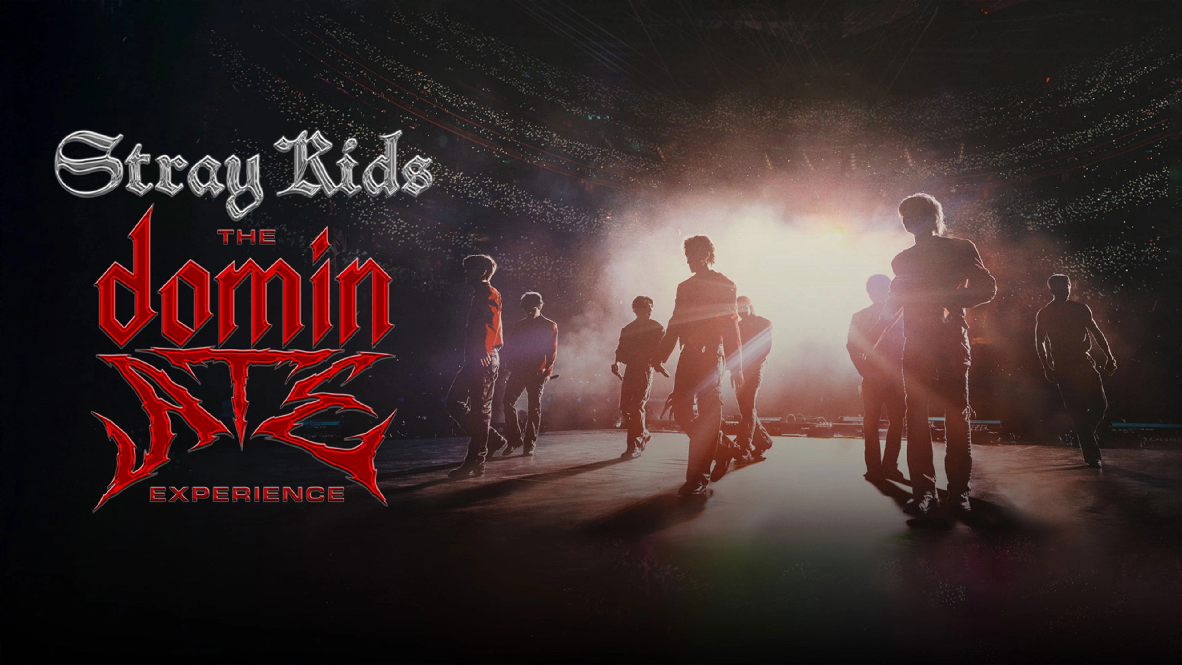 Stray Kids: The dominATE Experience