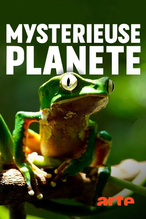 Mysterious Planet