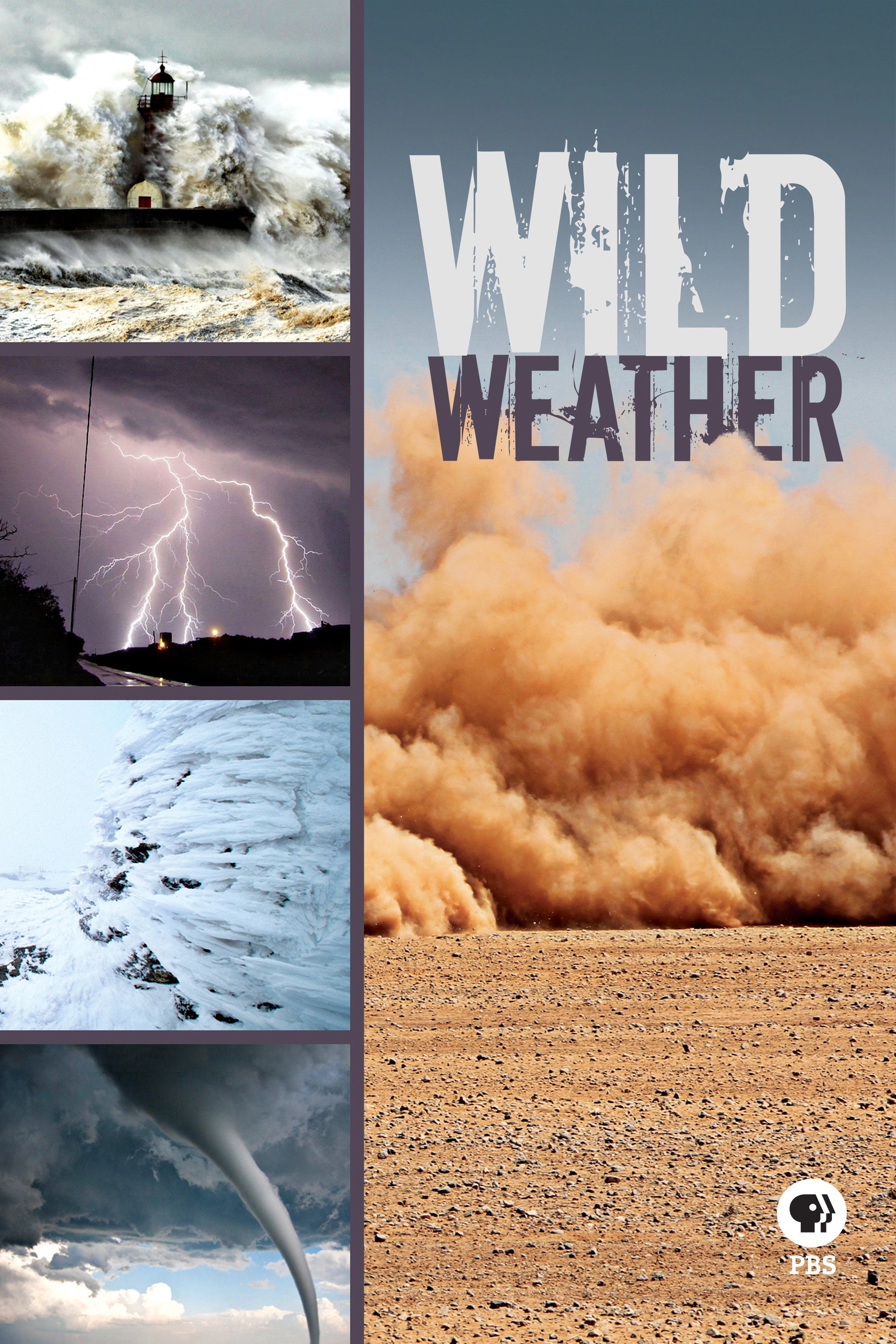 Wild Weather with Richard Hammond