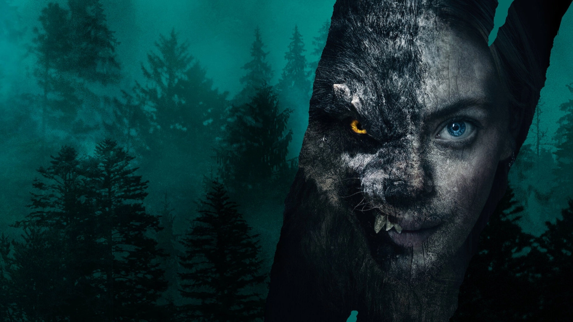 Viking Wolf