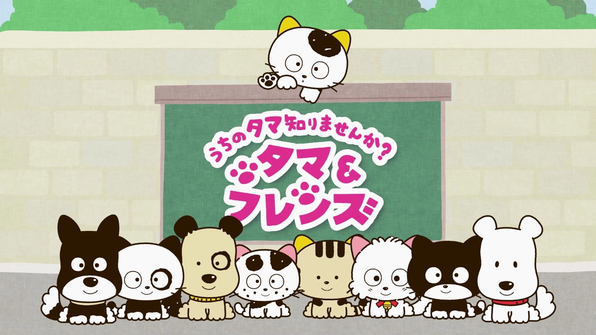 Tama and Friends: Have You Seen My Tama?