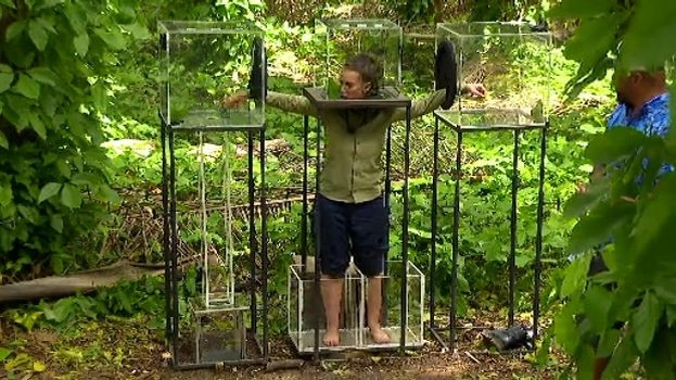 I'm a Celebrity: Get Me Out of Here!