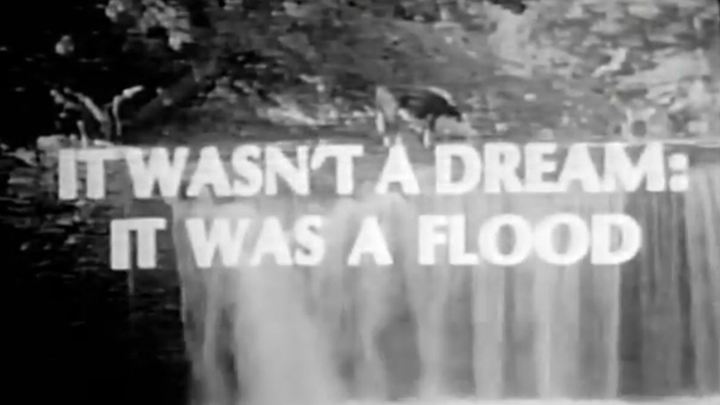 It Wasn't A Dream: It Was A Flood