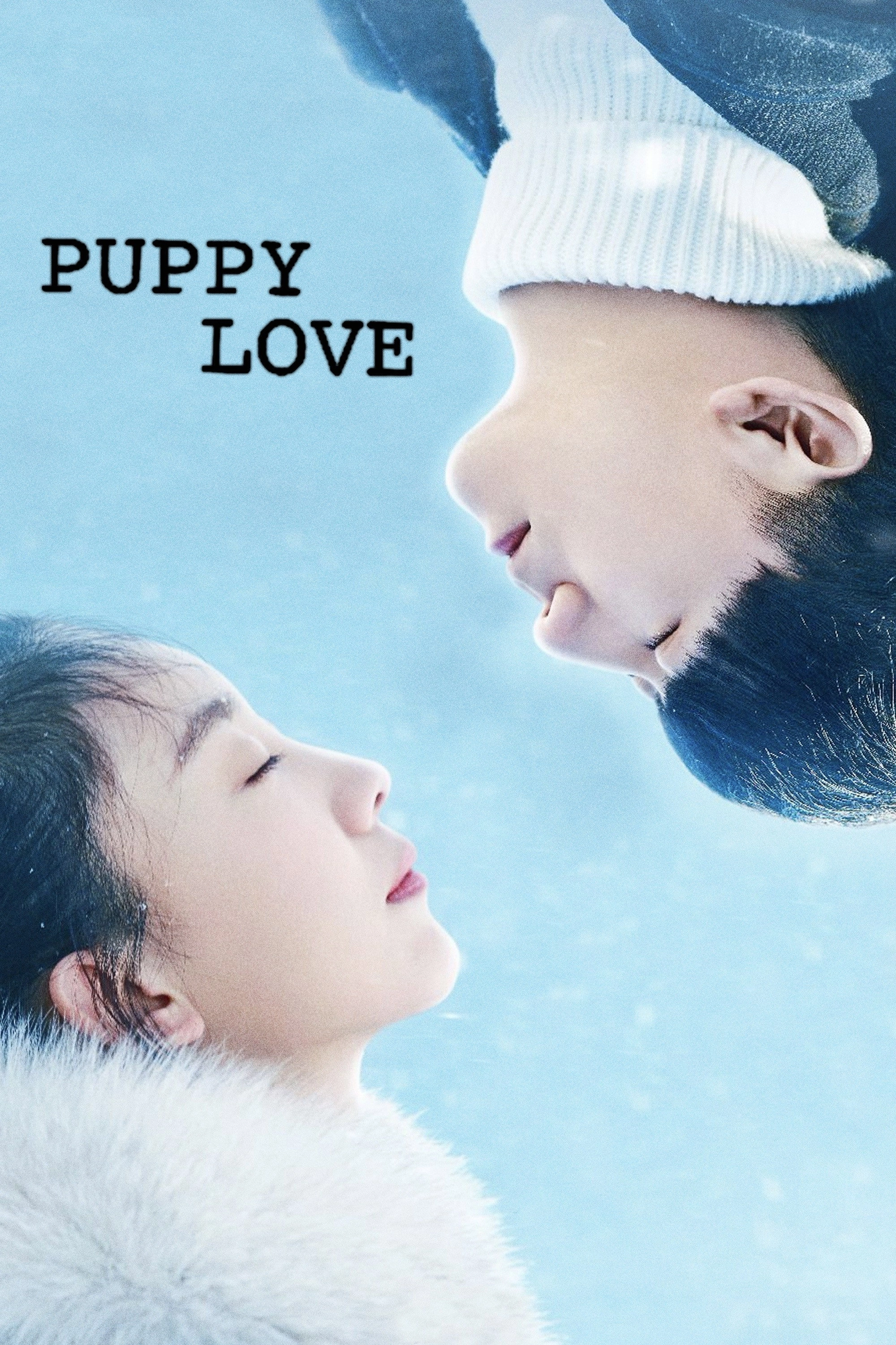 Puppy Love