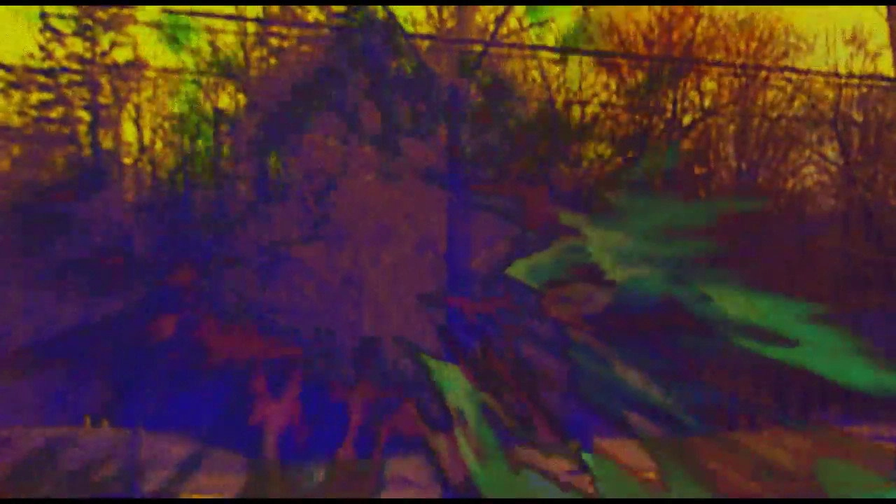 Joose Psychedelia Test