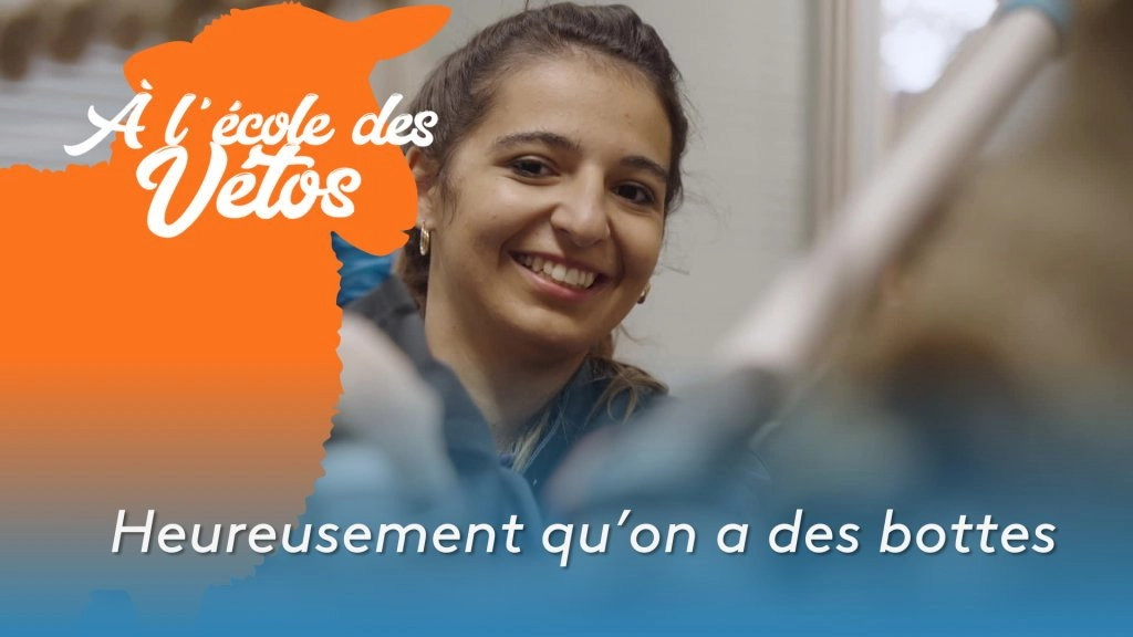 A l'école des vétos