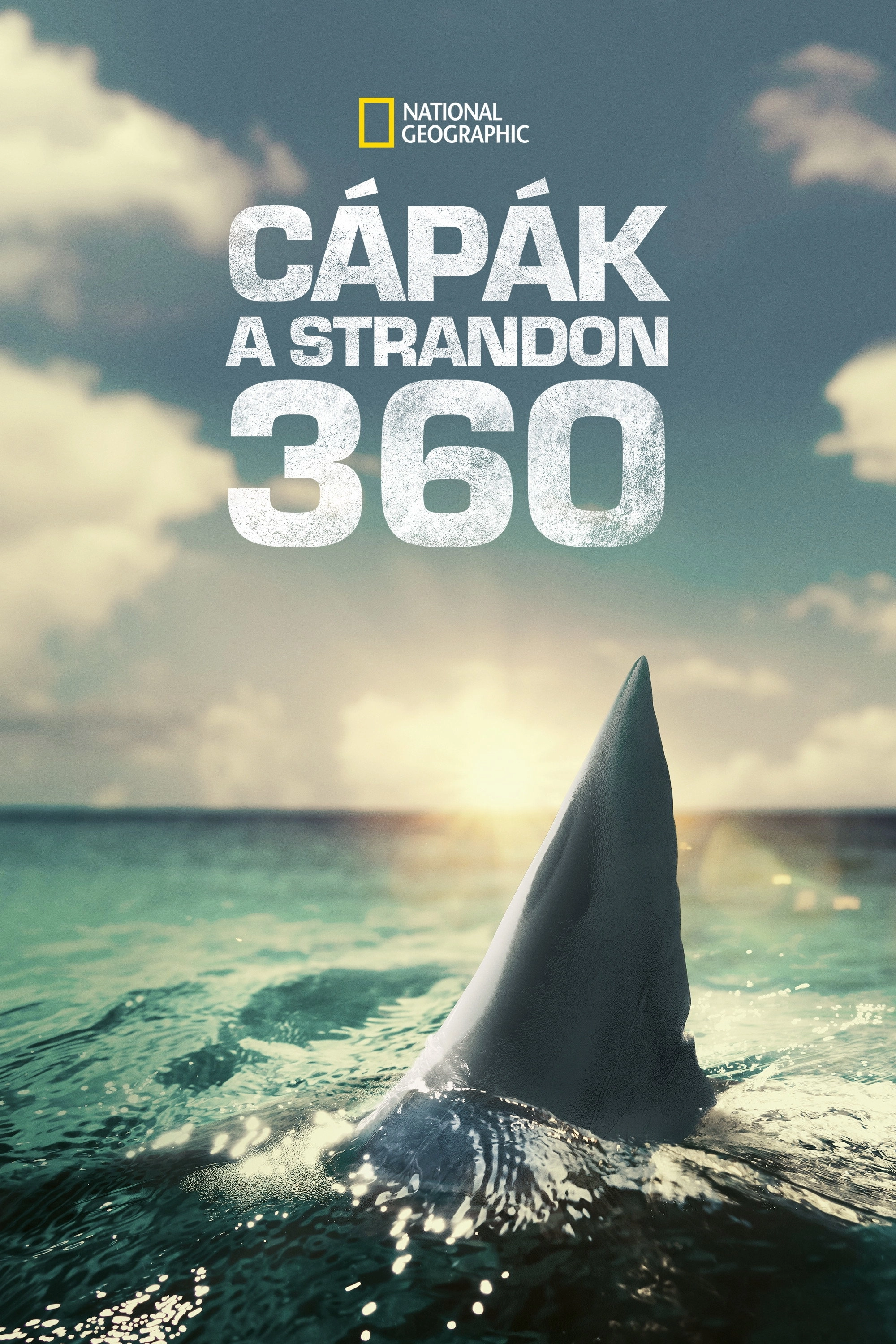When Sharks Attack 360