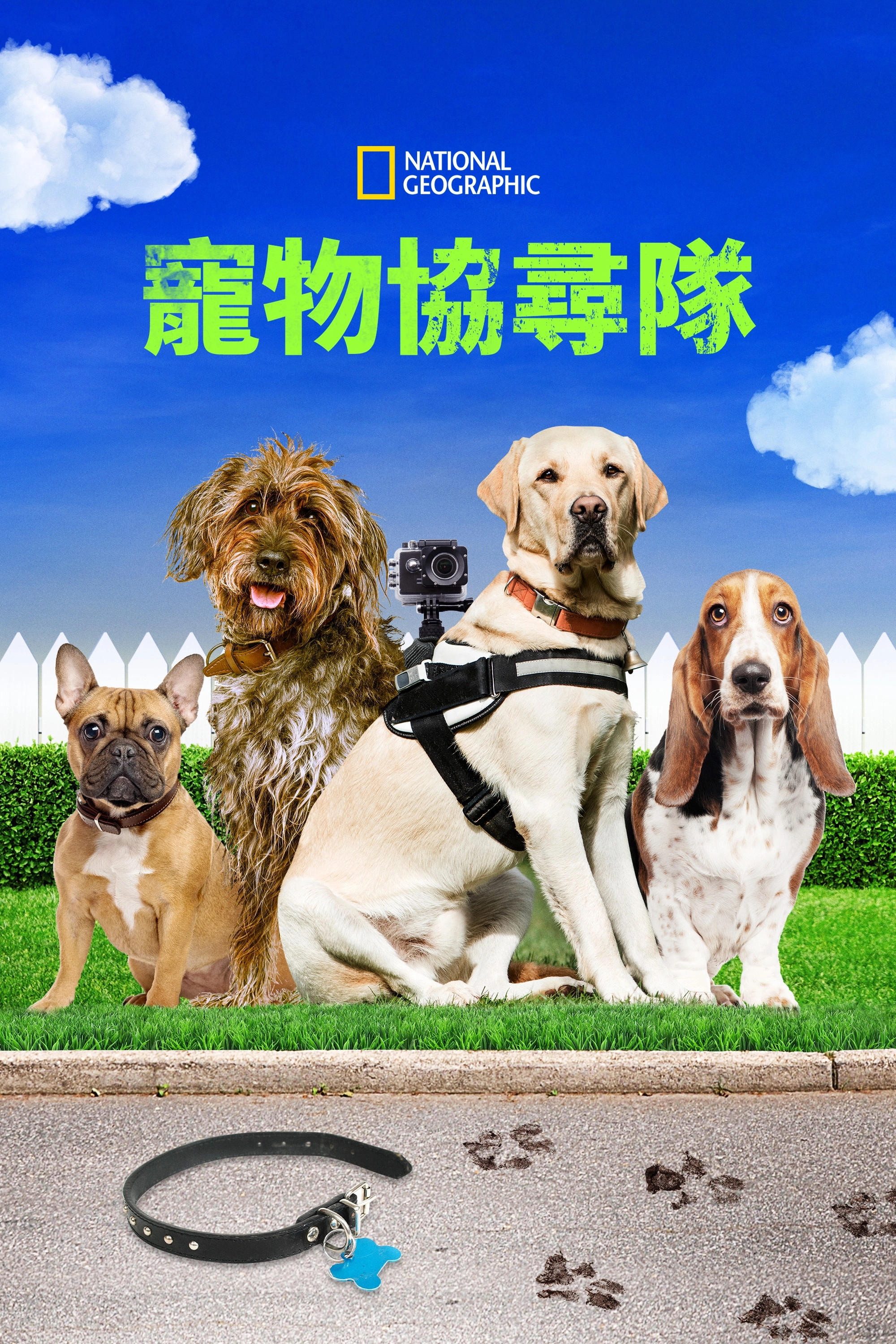 Trackers