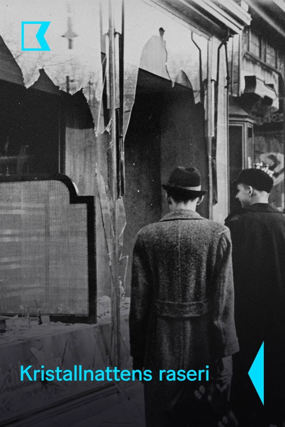 La Nuit de cristal : Les pogroms de novembre