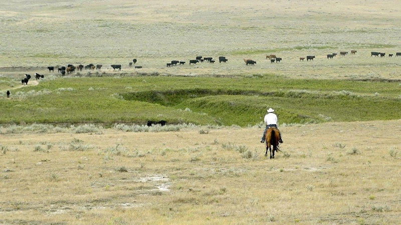 Kanadas Nationalparks
