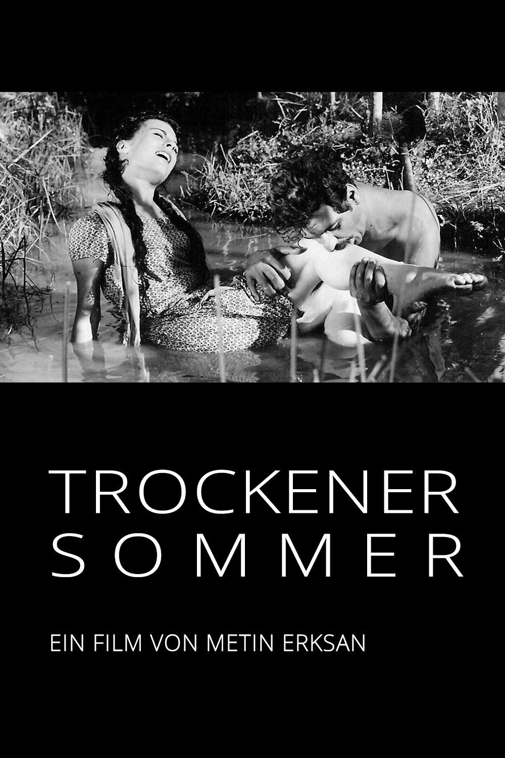 Dry Summer