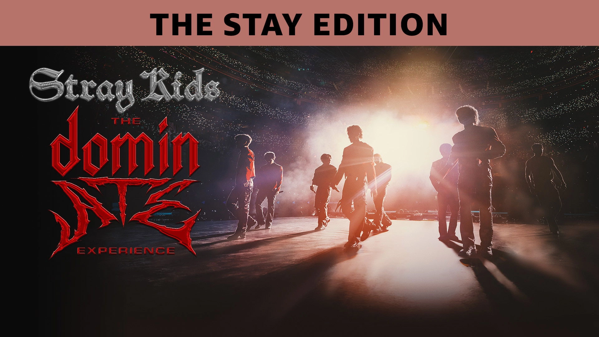 Stray Kids: The dominATE Experience