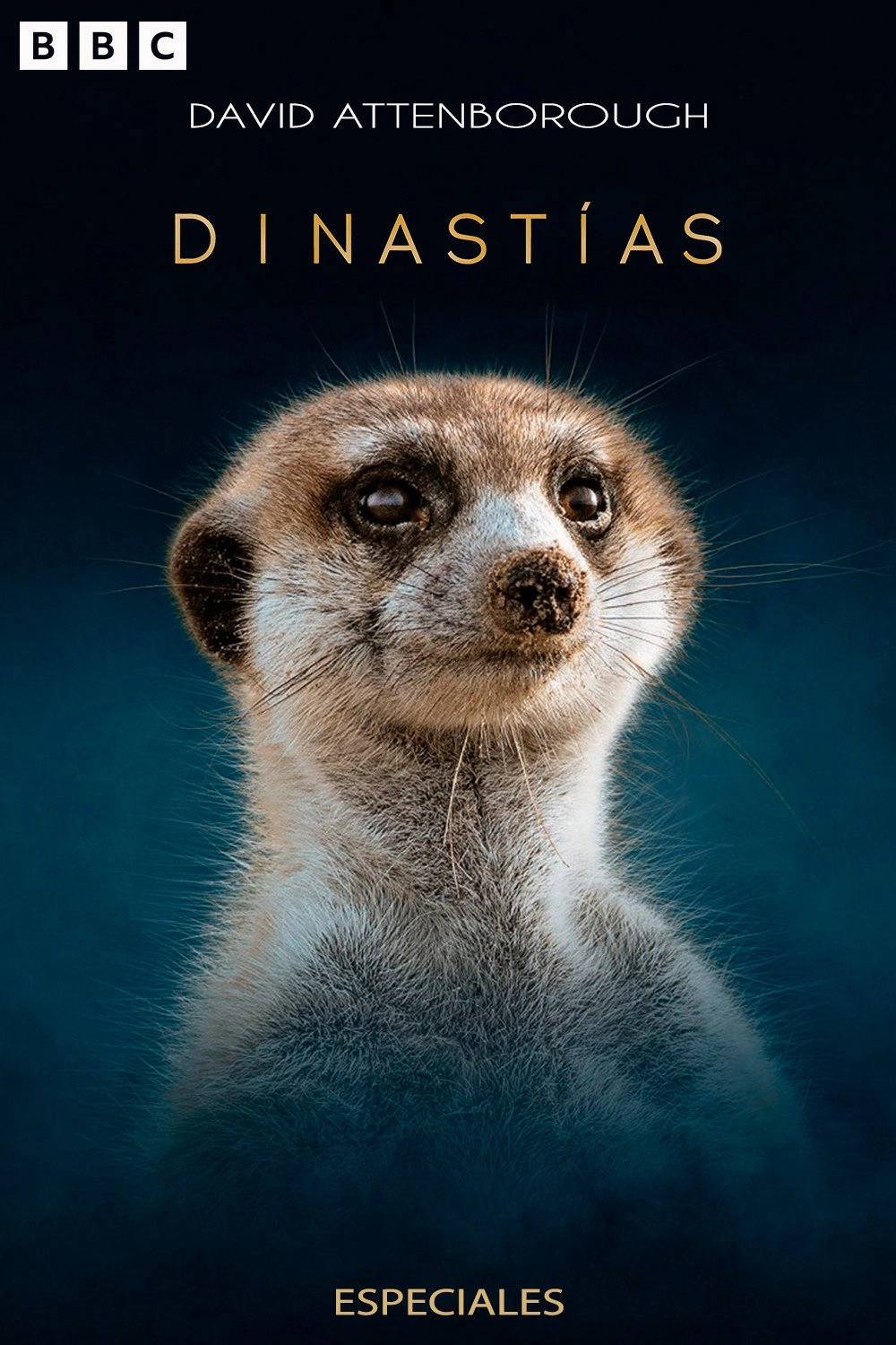 Dynasties
