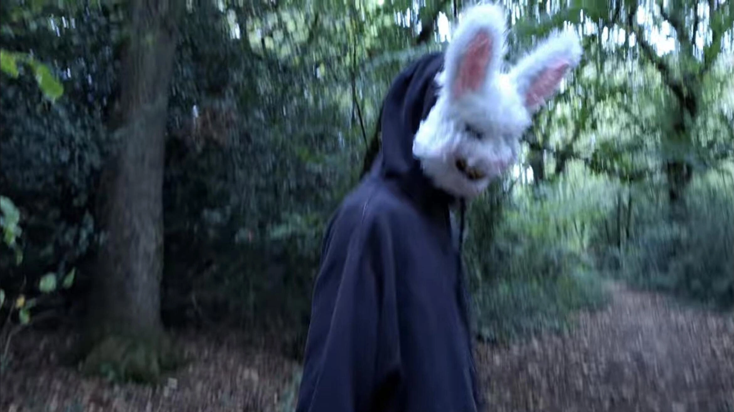 Rabbit