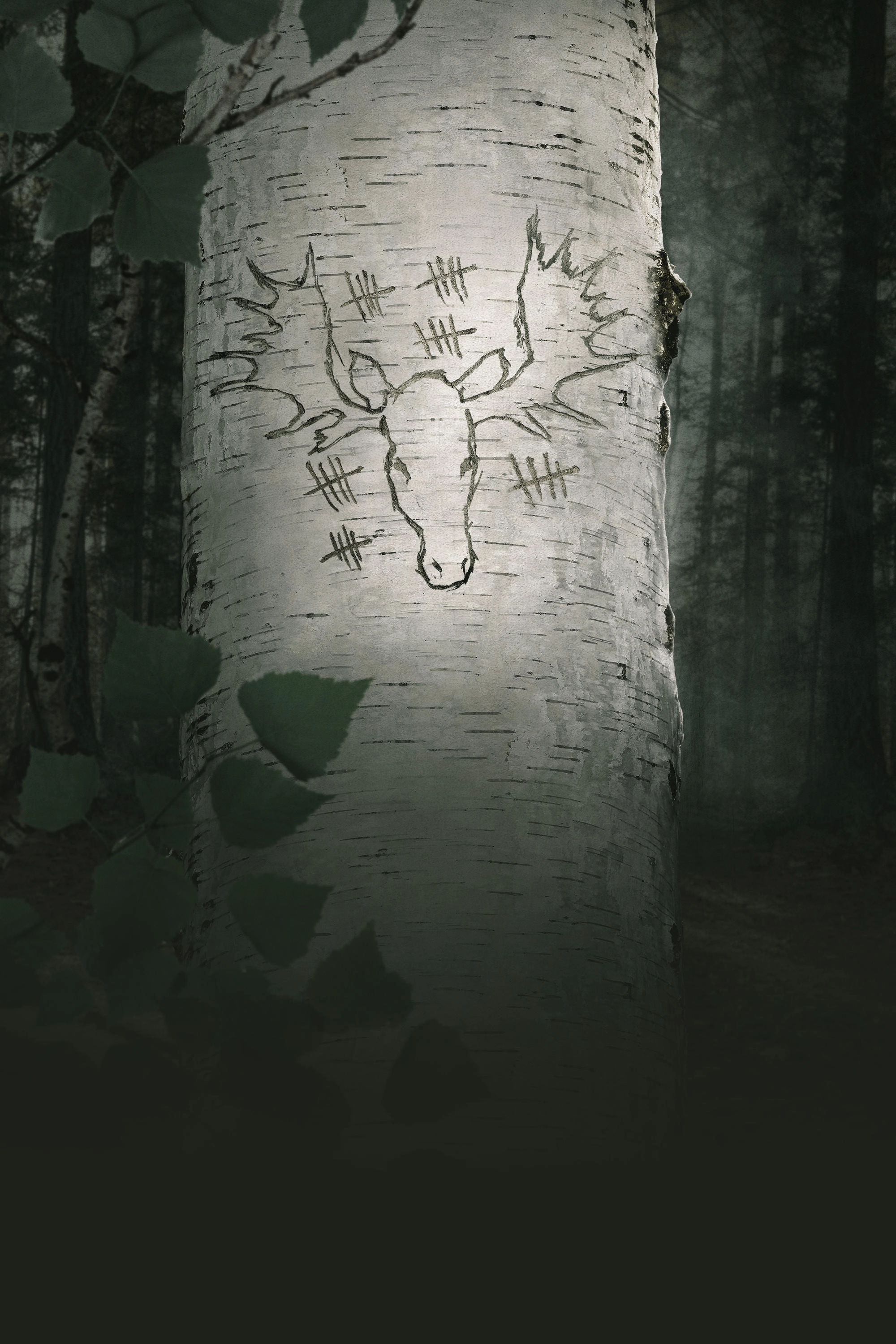 A New Life
