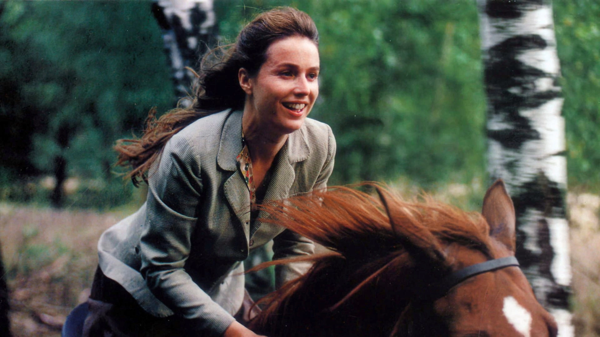 At Full Gallop