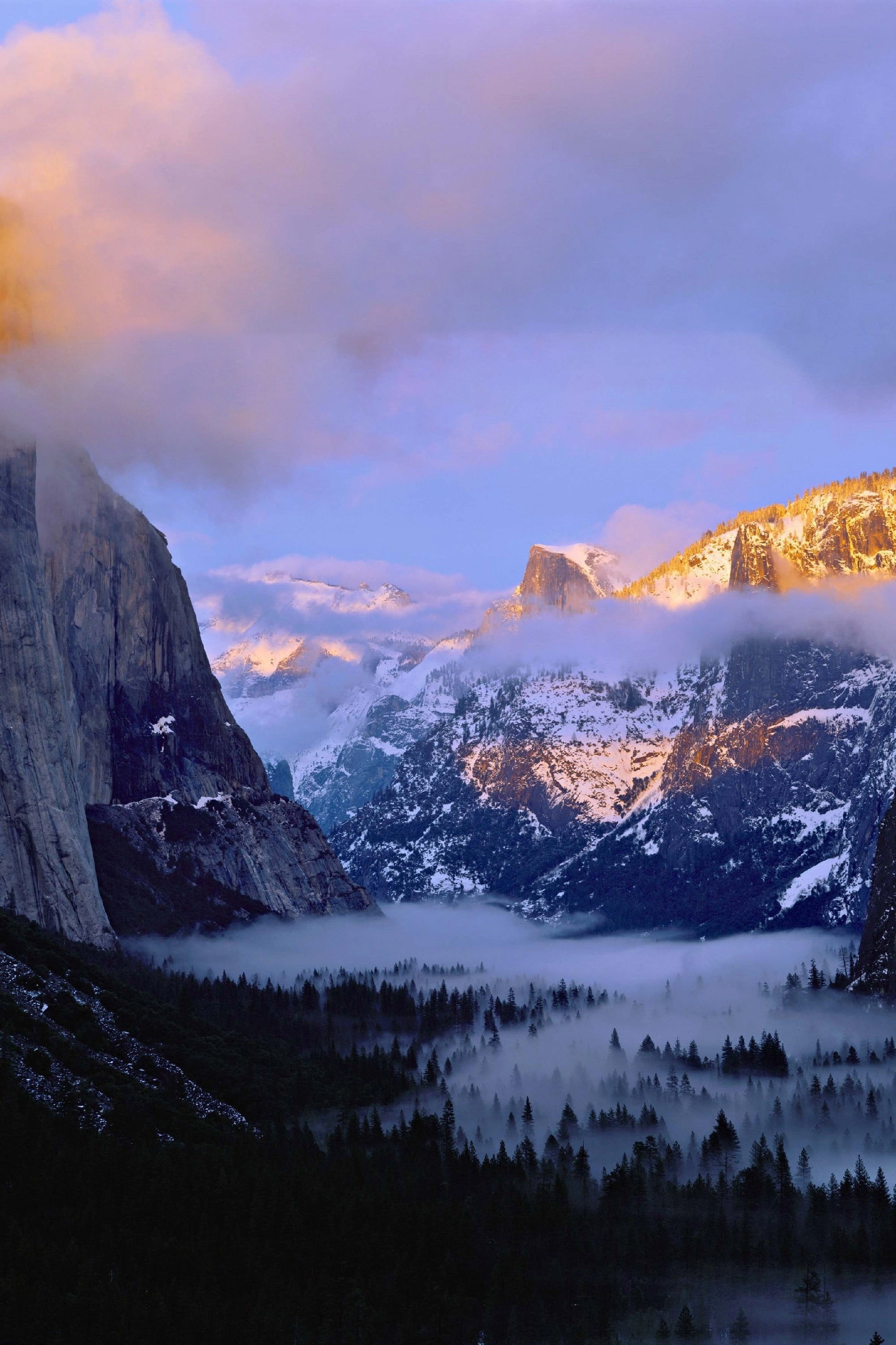 The National Parks: America's Best Idea