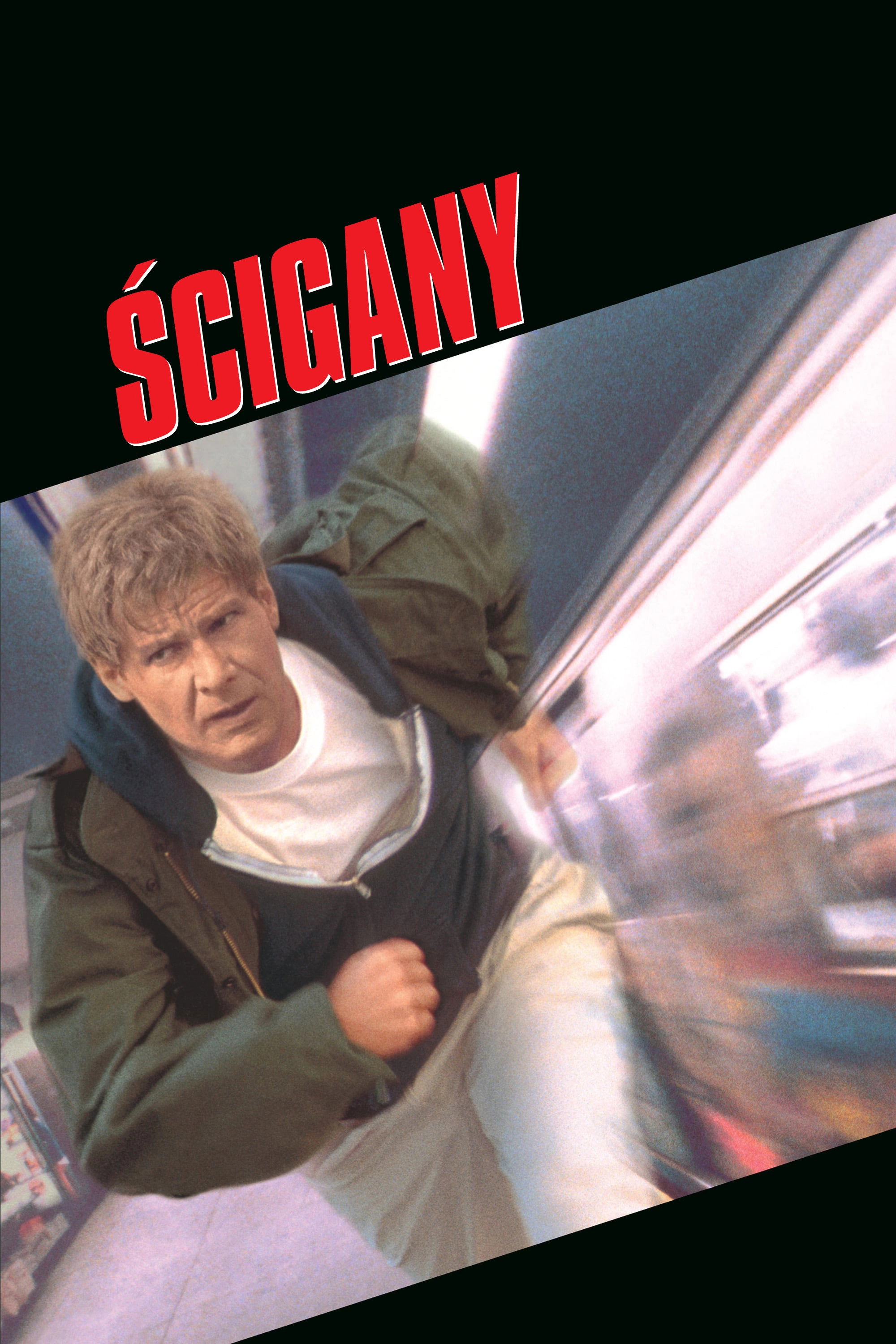 The Fugitive