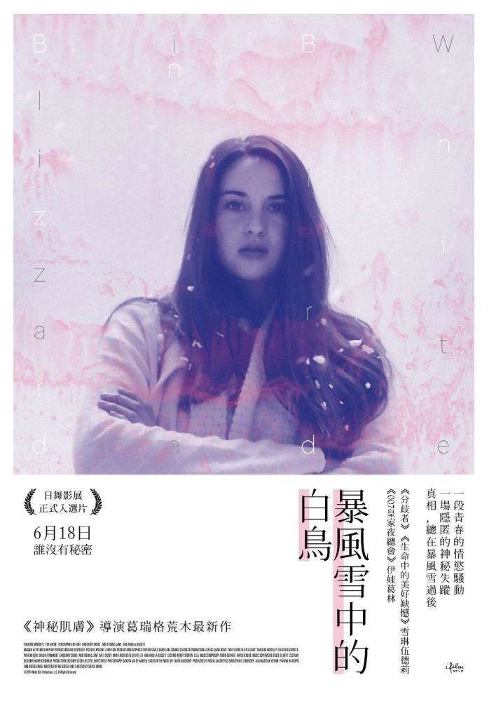 White Bird in a Blizzard