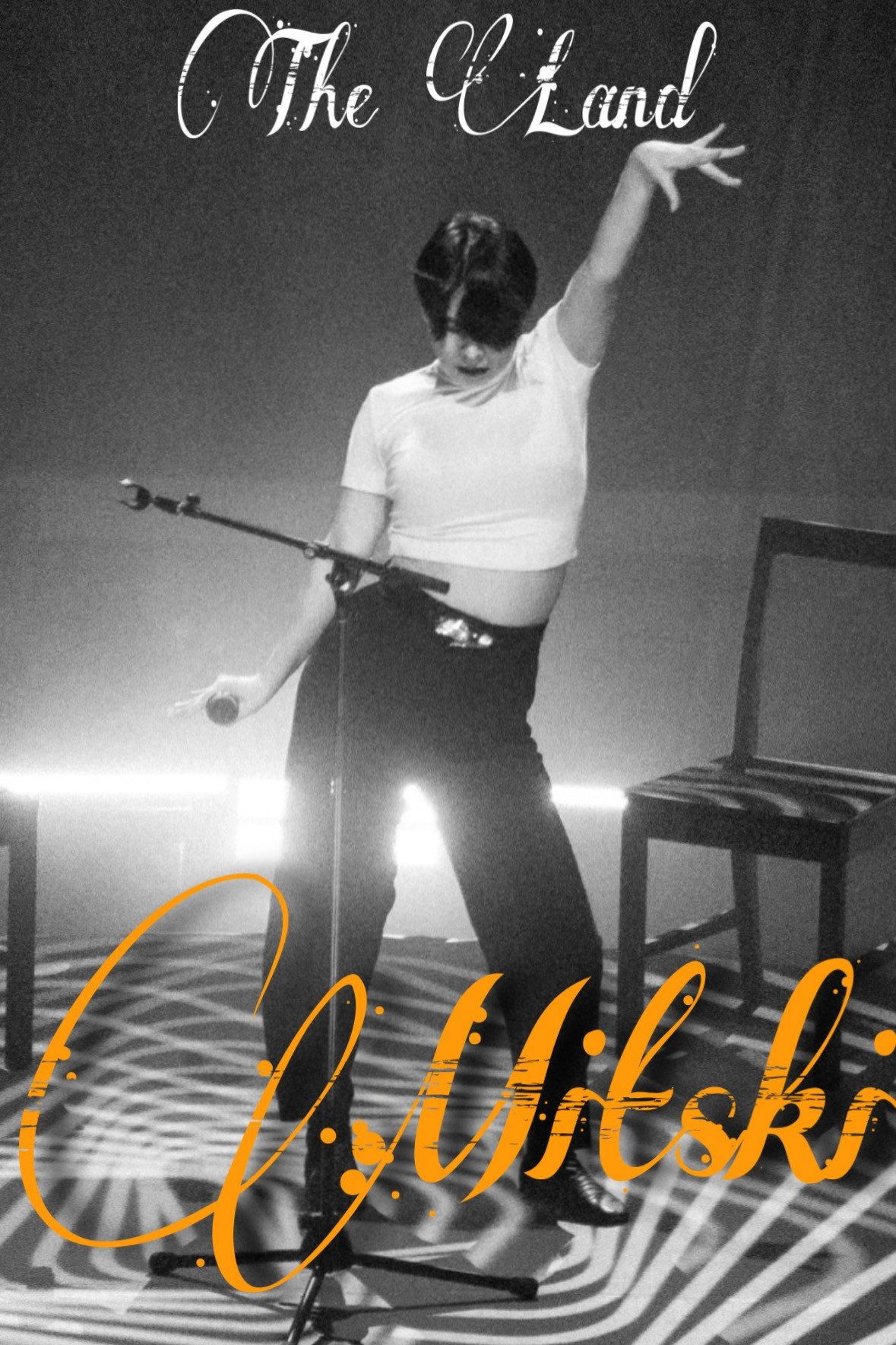 Mitski: The Land